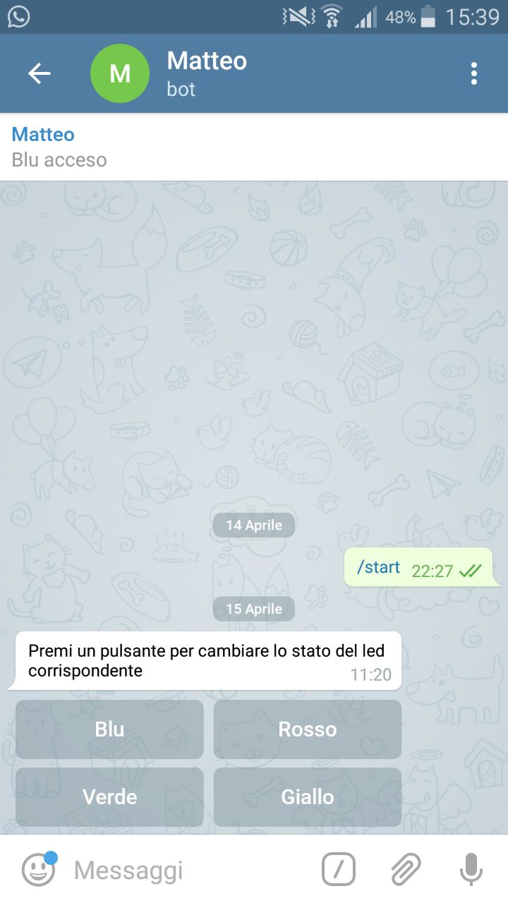 chat con il bot