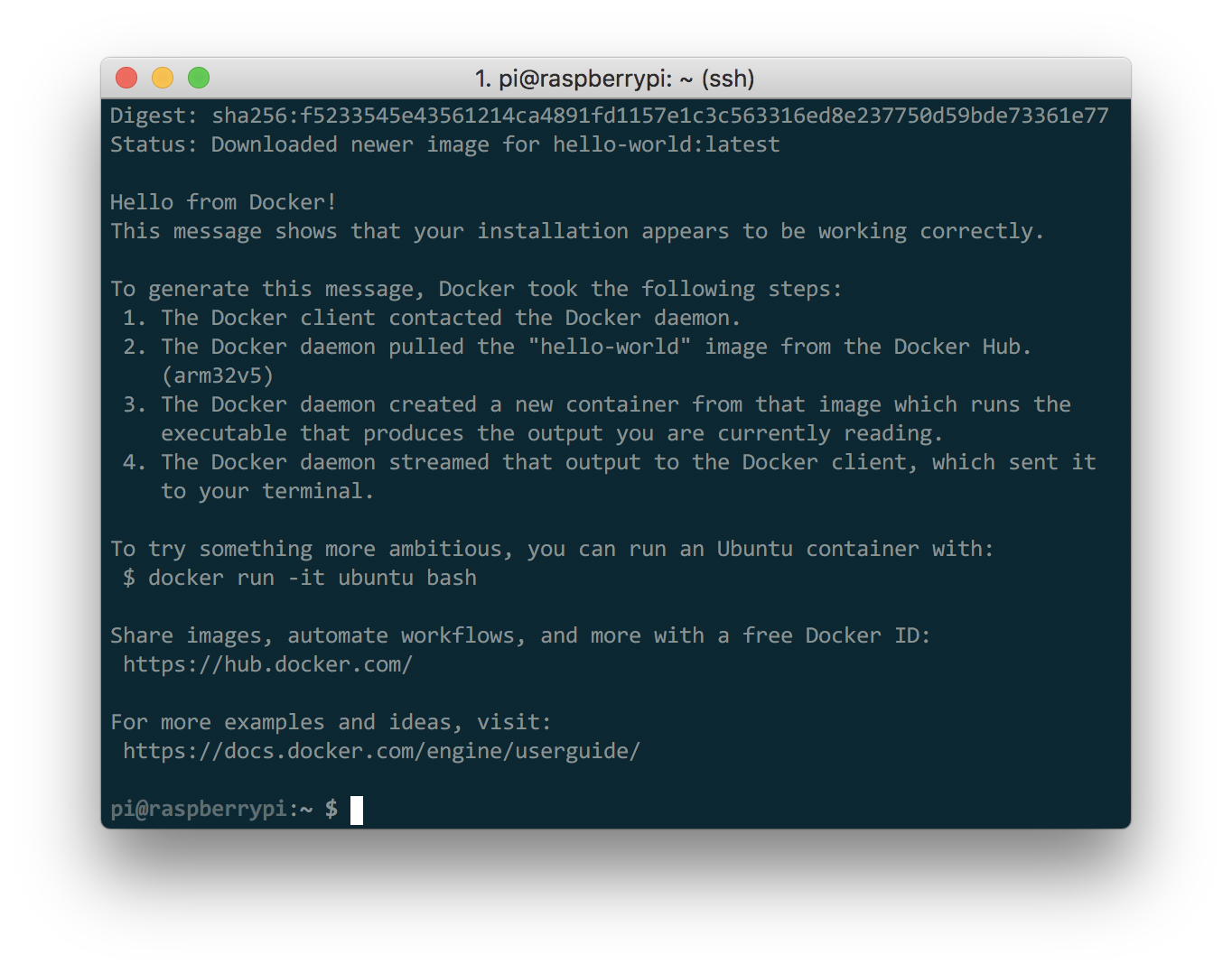 Hello World Docker