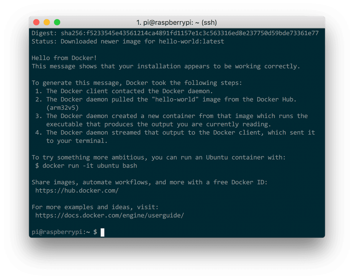 Hello World Docker
